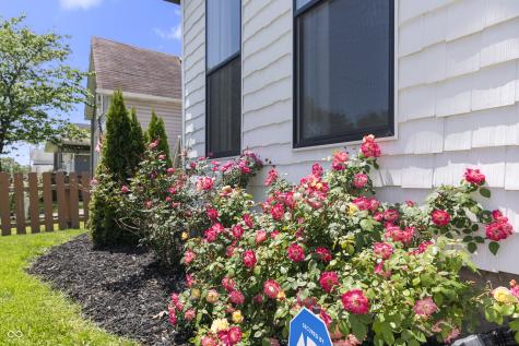 1406 Olive Street Indianapolis IN 46203
