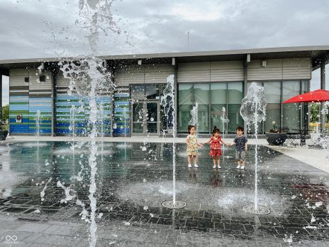 12419 Brandamore Lane Fishers IN 46037