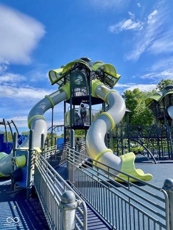 12419 Brandamore Lane Fishers IN 46037