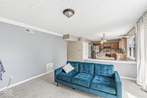 12303 W Ridge Circle Indianapolis IN 46236