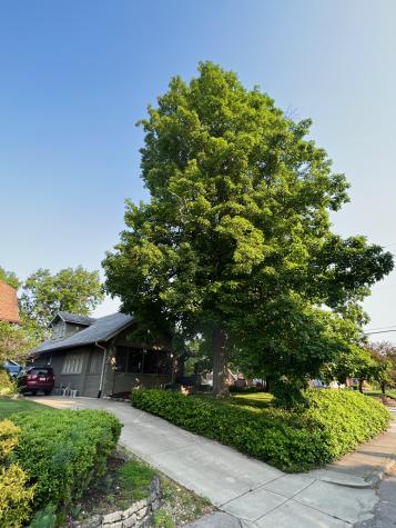 5786 Delaware Street Indianapolis IN 46220