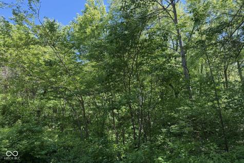 12701 Shelborne Road Carmel IN 46032