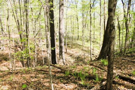 9067 Old Haggard Road Morgantown IN 46160