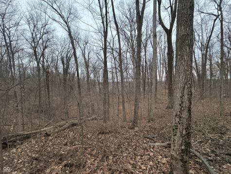 6155 Private Road 1125 N Poland IN 47868