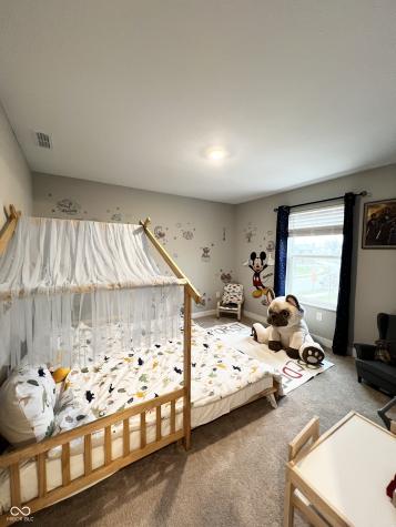 11948 Sonoran Run Fishers IN 46037