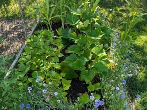 26791 Crooked Creek Avenue Arcadia IN 46030