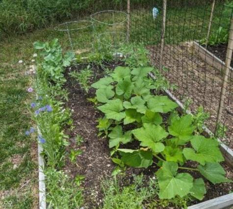 26791 Crooked Creek Avenue Arcadia IN 46030