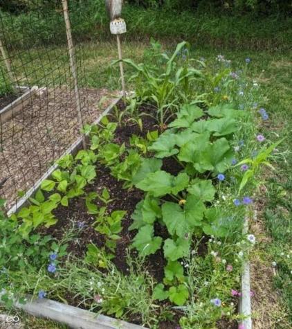 26791 Crooked Creek Avenue Arcadia IN 46030