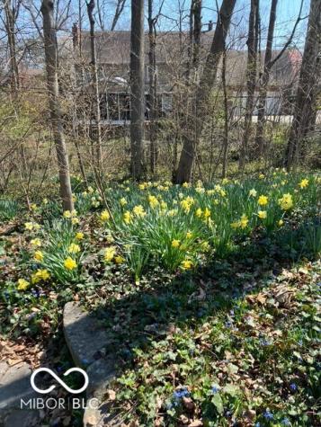 1229 Ridge Road Carmel IN 46033