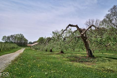 5054 N Us Route 31 Peru IN 46970