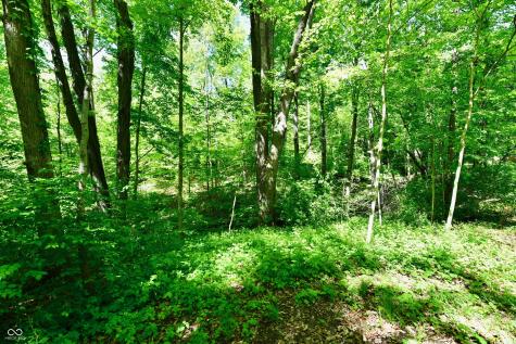 6671 E Rosebud Lane Mooresville IN 46158