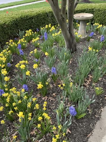 11490 Niagara Drive Fishers IN 46037