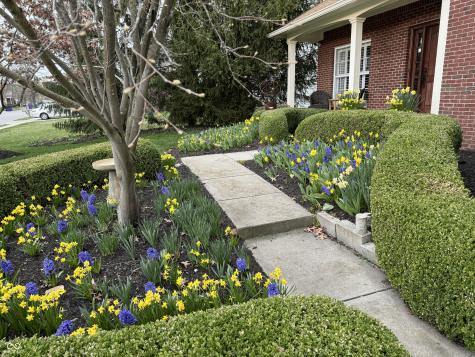 11490 Niagara Drive Fishers IN 46037