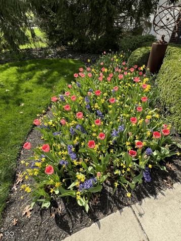 11490 Niagara Drive Fishers IN 46037