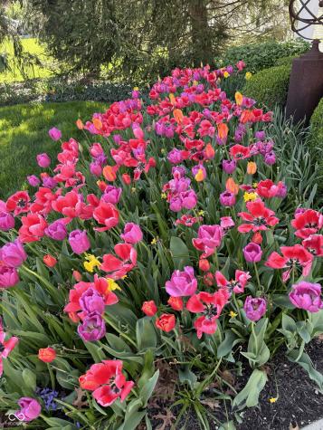 11490 Niagara Drive Fishers IN 46037