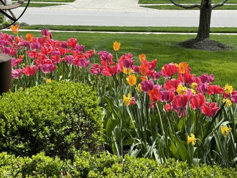 11490 Niagara Drive Fishers IN 46037