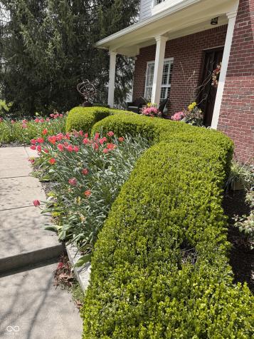 11490 Niagara Drive Fishers IN 46037