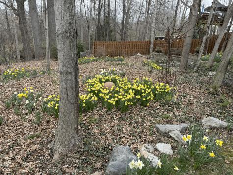 11490 Niagara Drive Fishers IN 46037