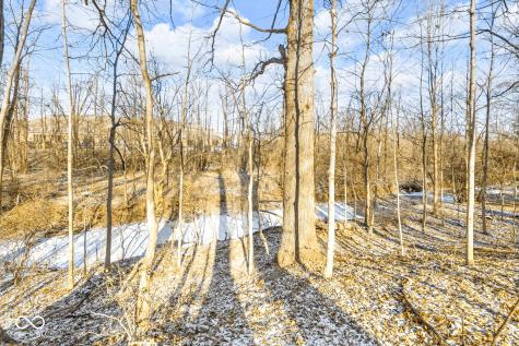 11490 Niagara Drive Fishers IN 46037