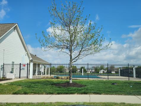 16708 Colfax Lane Westfield IN 46074