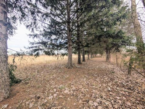 5599 N State Road 9 Hope IN 47246