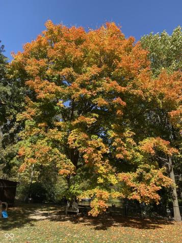 5808 E County Road 150 N Avon IN 46123