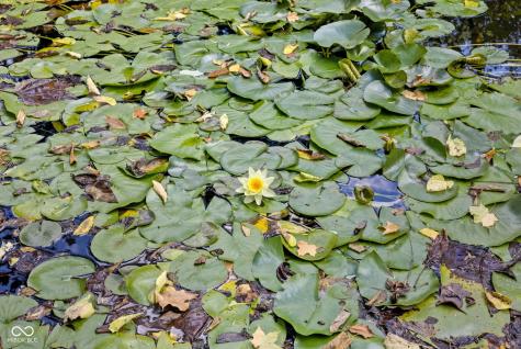 10 Ridgeline Drive Brownsburg IN 46112