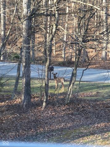 5824 S Poplar Grove Road Columbus IN 47201