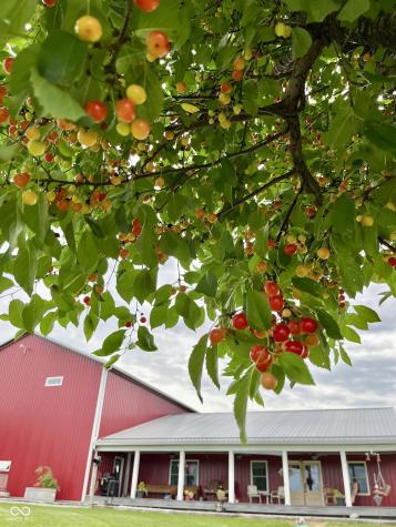 3109 S County Road 1050 W Greensburg IN 47240