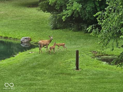 5306 State Road 144 Greenwood IN 46143