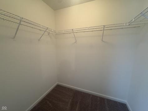 3971 Waterfield Drive Indianapolis IN 46235