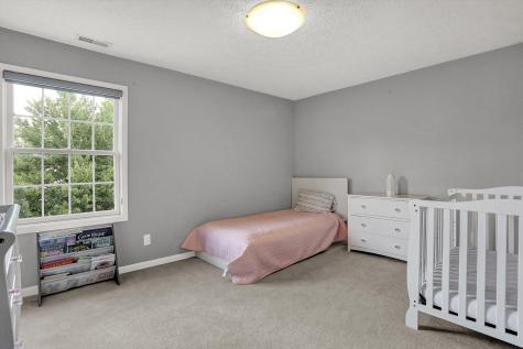 8924 Winterberry Court Zionsville IN 46077