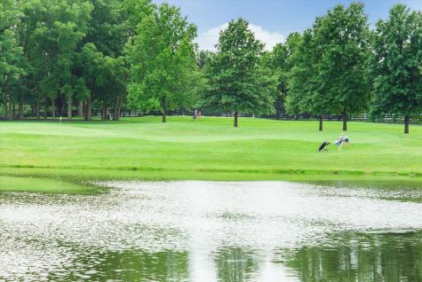 3989 Birkdale Drive Carmel IN 46033