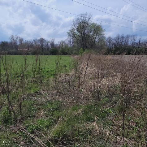 7960 W 800 N Fairland IN 46126