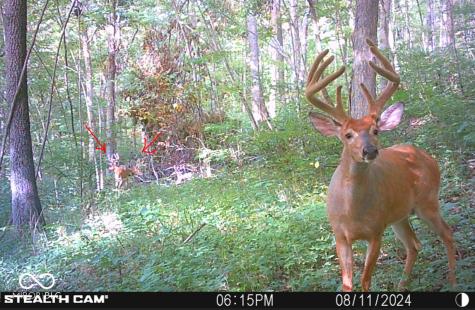 2933 S Saluda Hill Road Hanover IN 47243
