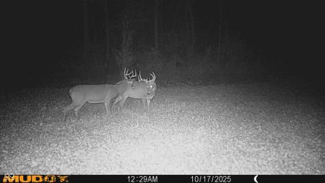 2933 S Saluda Hill Road Hanover IN 47243