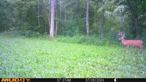 2933 S Saluda Hill Road Hanover IN 47243