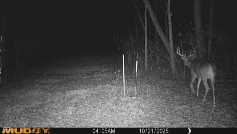 2933 S Saluda Hill Road Hanover IN 47243