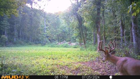2933 S Saluda Hill Road Hanover IN 47243