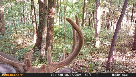 2933 S Saluda Hill Road Hanover IN 47243