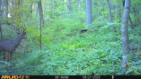 2933 S Saluda Hill Road Hanover IN 47243