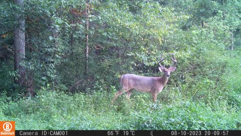 2933 S Saluda Hill Road Hanover IN 47243
