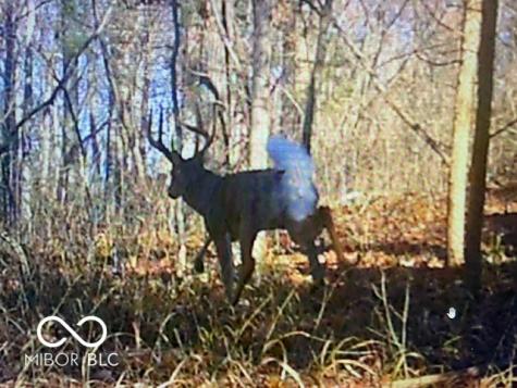 2933 S Saluda Hill Road Hanover IN 47243