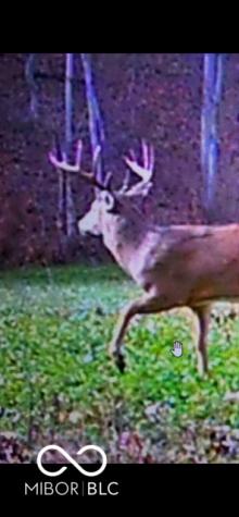 2933 S Saluda Hill Road Hanover IN 47243