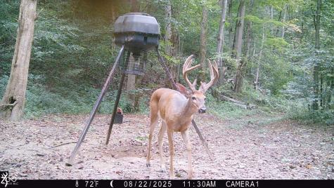 2933 S Saluda Hill Road Hanover IN 47243