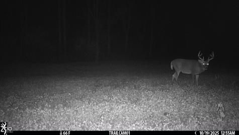 2933 S Saluda Hill Road Hanover IN 47243