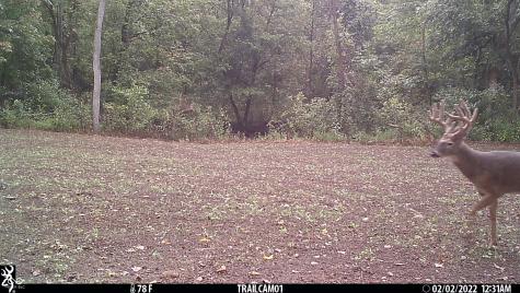 2933 S Saluda Hill Road Hanover IN 47243