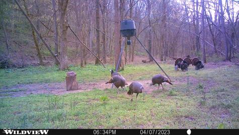 2933 S Saluda Hill Road Hanover IN 47243