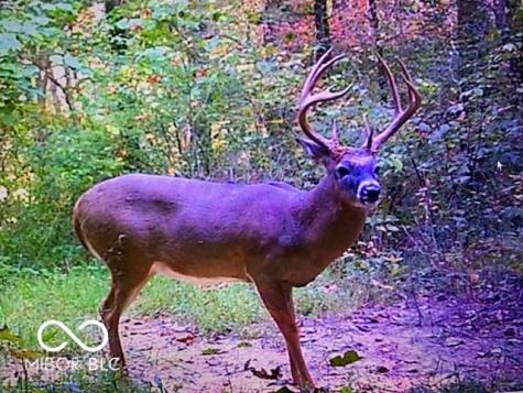 2933 S Saluda Hill Road Hanover IN 47243