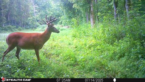 2933 S Saluda Hill Road Hanover IN 47243
